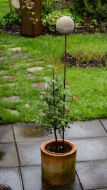 Rosenkugel aus Beton