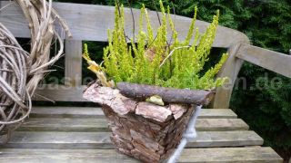 Blumentopf mit Baumrinde dekoriert