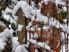 Erste Schnee
