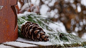 Der erste Schnee 2014. Artikelbild mit Föhrenzapfen und rostigem Blechstern.