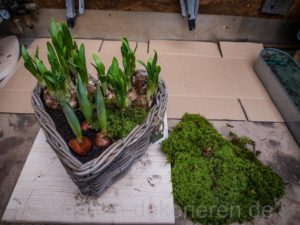 Frühlingsdeko mit Moos, Tulpen und Narzissen